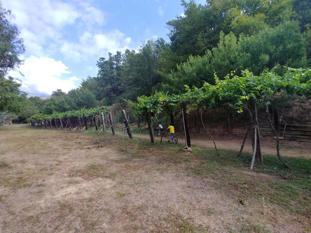 Готель Agricamping Ponteraggio N.1 Дольчеаккуа Екстер'єр фото